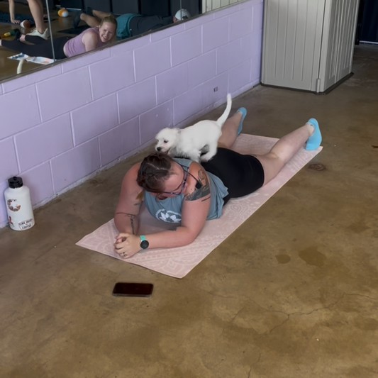 Pilates Party